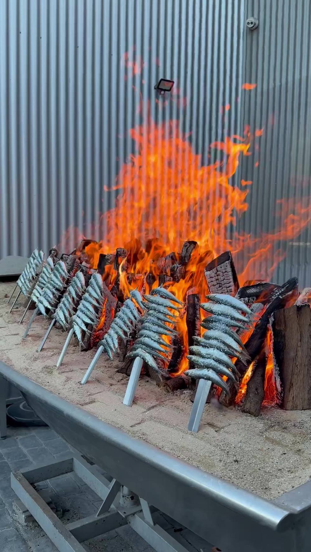 Espetos de sardinas cocinándose sobre brasas de leña