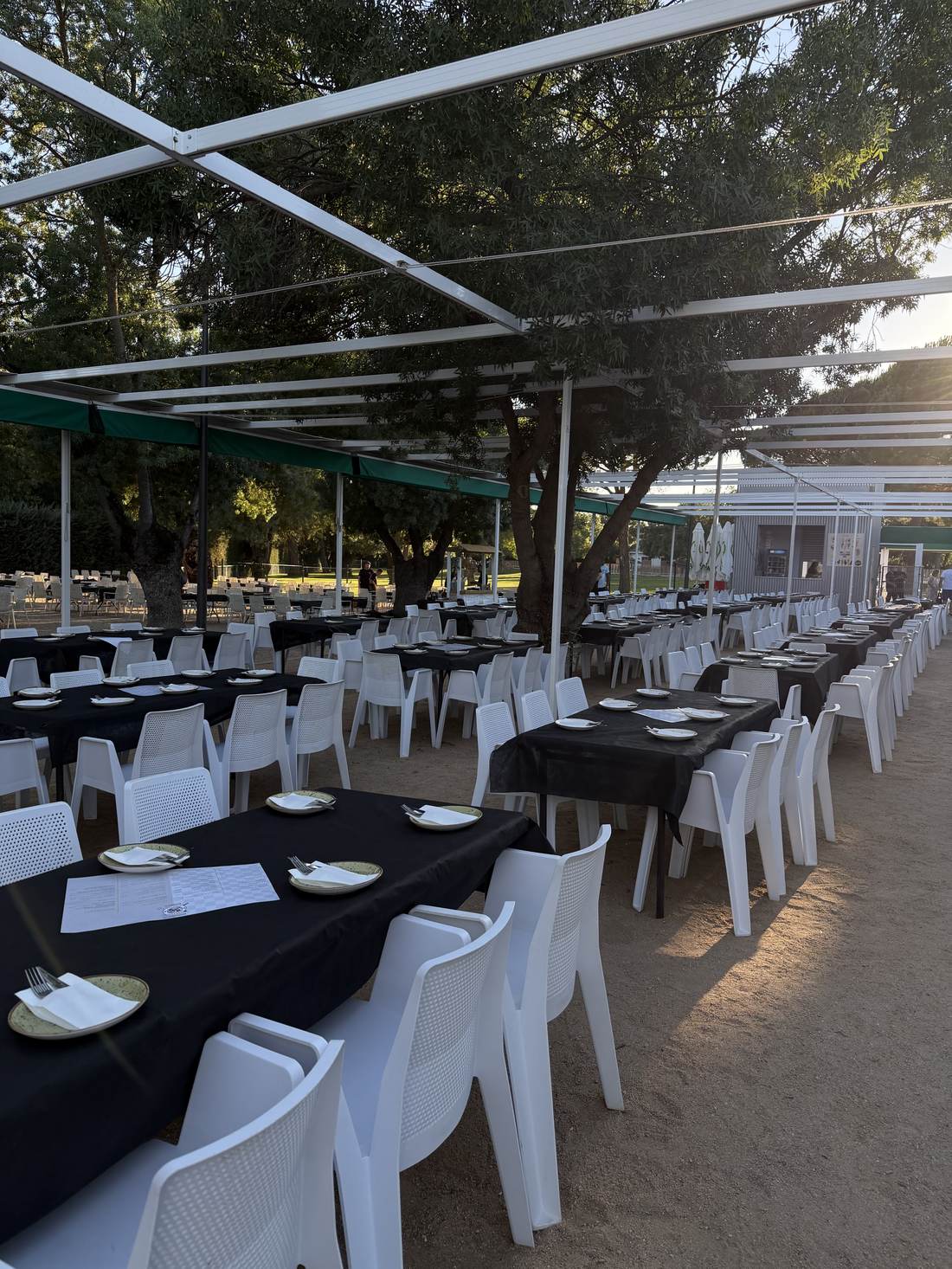 Gran celebración al aire libre con mesas largas entre los árboles al atardecer
